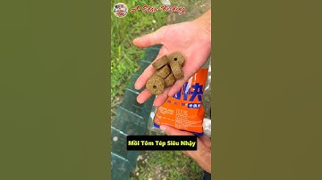 Mồi Nhử Tôm Tép Cá Cám Thính Cực Thơm #shorts