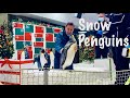 Penguins at Ski Dubai