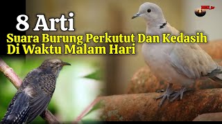 INILAH 8 ARTI SUARA BURUNG PERKUTUT DAN KEDASIH DI MALAM HARI