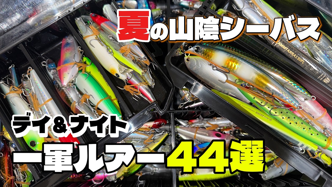 シーバス】夏の一軍ルアー44選！竿おじのルアーケースの中身と使い方を
