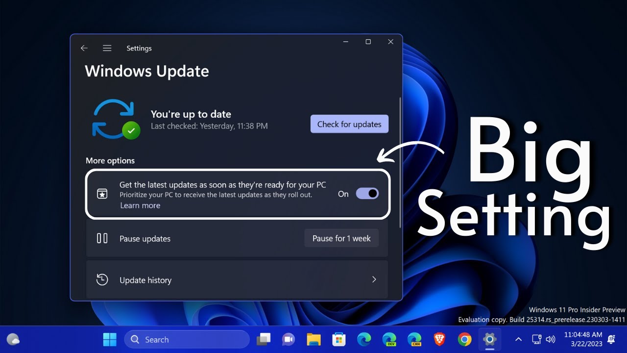 Windows 11 New Update Option Enable | Build 25314