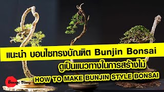 แนะนำ บอนไซทรงบัณฑิต Bunjin Bonsai  ดูเป็นแนวทางในการสร้างไม้  HOW TO MAKE BUNJIN STYLE BONSAI