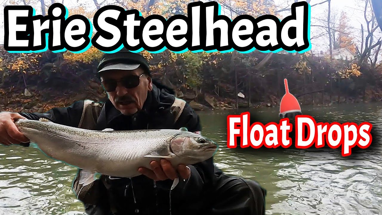 Erie NY Steelhead Bobber Downs - 9 for 9