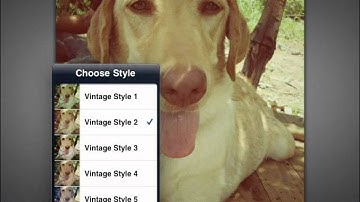 Snapseed iPad App Preview