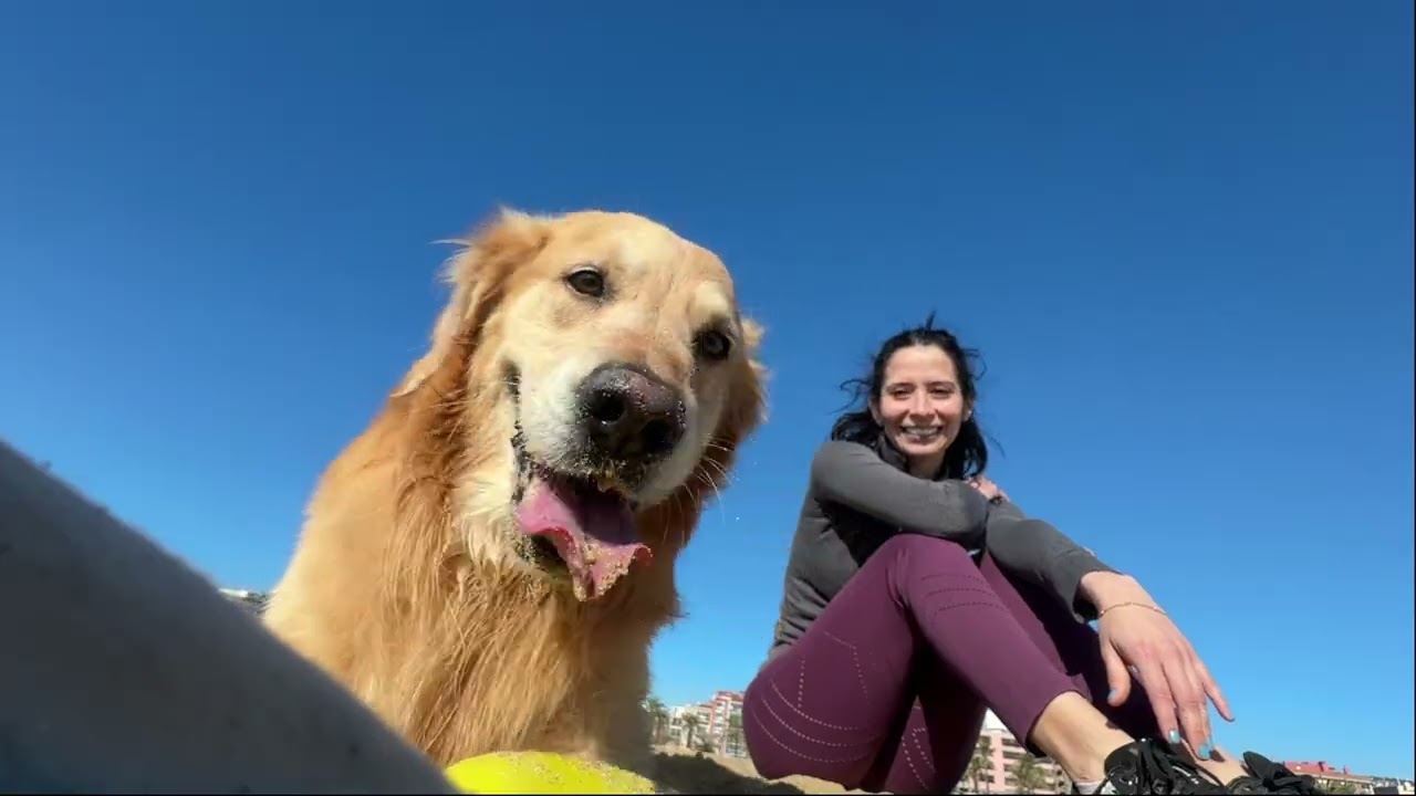 Slow weekend con un golden retriever I Flores para nuestro nuevo hogar!