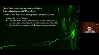 Selm Academy Webinar  - Navigating ADHD together as Parents & Educators