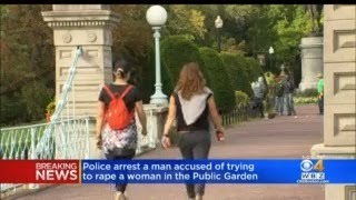 Man Arrested For Attempted Rape In Boston Public Garden