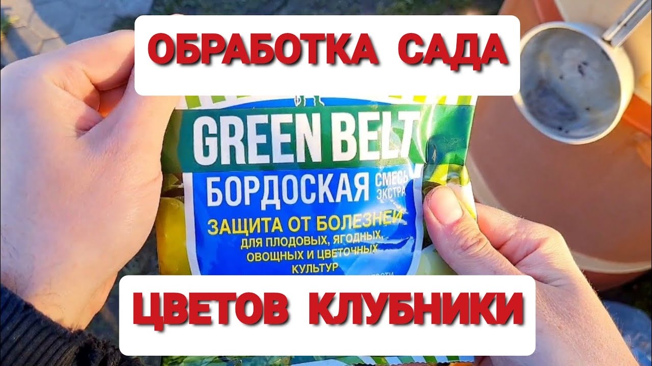 Можно обрабатывать клубнику бордосской жидкостью весной