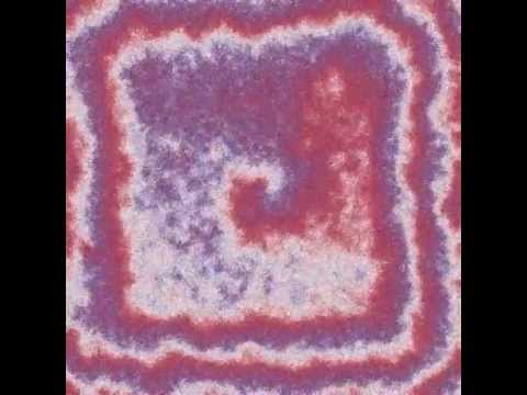 NO+CO/Pt T=406K D=50 2000x2000 (spiral wave null stream)