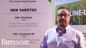 FP Genetics launches two new high performing varieties