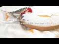 Cross Stitch "TRAVELLING PIXIE" クロスステッチ ニッセの旅情報 / Mads Stage マス ステイユ ｜Hoshimachi