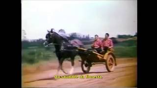 TONICO E TINOCO - MORENINHA LINDA - 1961(Legendado)