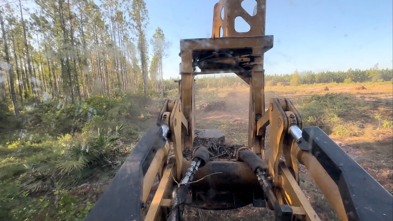 Wicked Fast Cutting With the 720G Feller Buncher!