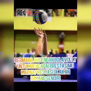 Story wa Volly Ball