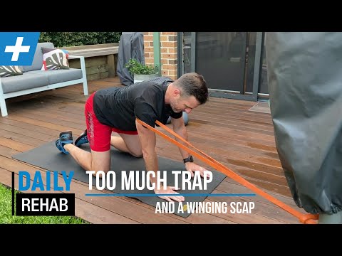 Too Much Trap and a Winging Scap | Tim Keeley | Physio REHAB
