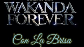 Con La Brisa ( Wakanda Forever Soundtrack) : short piano cover by Behzad Bhandari