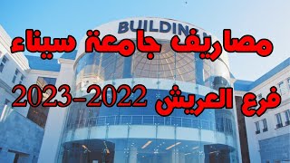 مصاريف جامعة سيناء فرع العريش 2022 | مصاريف جامعة سيناء 2022