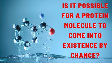 Is It Possible for a Protein Molecule to Come into Existence by Chance?