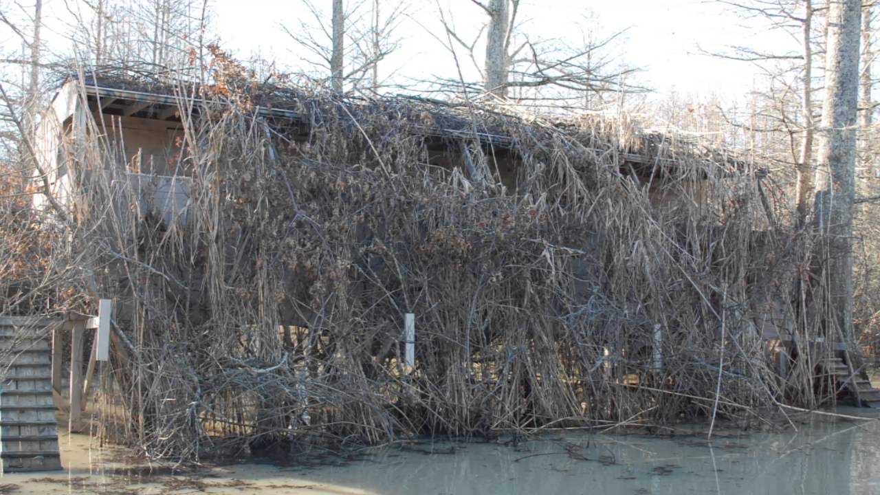 Quiver River Duck and Deer Hunting Property for sale in Mississippi