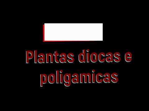 Vídeo: Plantas monóicas: exemplos