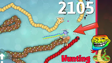 Snake. Io 🐍 Fiero! Hunting Top 01 Snake In The Map! Epic And Best Snake. Io Gameplay