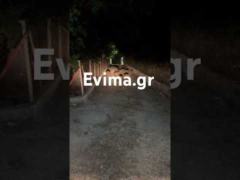 Οικογένεια με αγριογούρουνα έξω από σπίτι στην Εύβοια