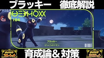 ブラッキー Youtube