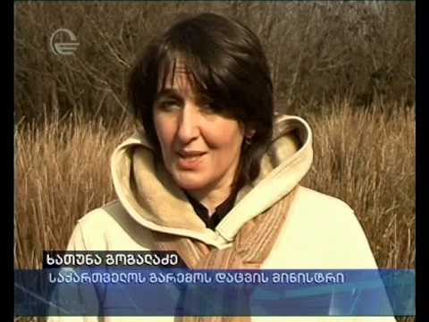 გარემოს დაცვის მინისტრი აჭარაში