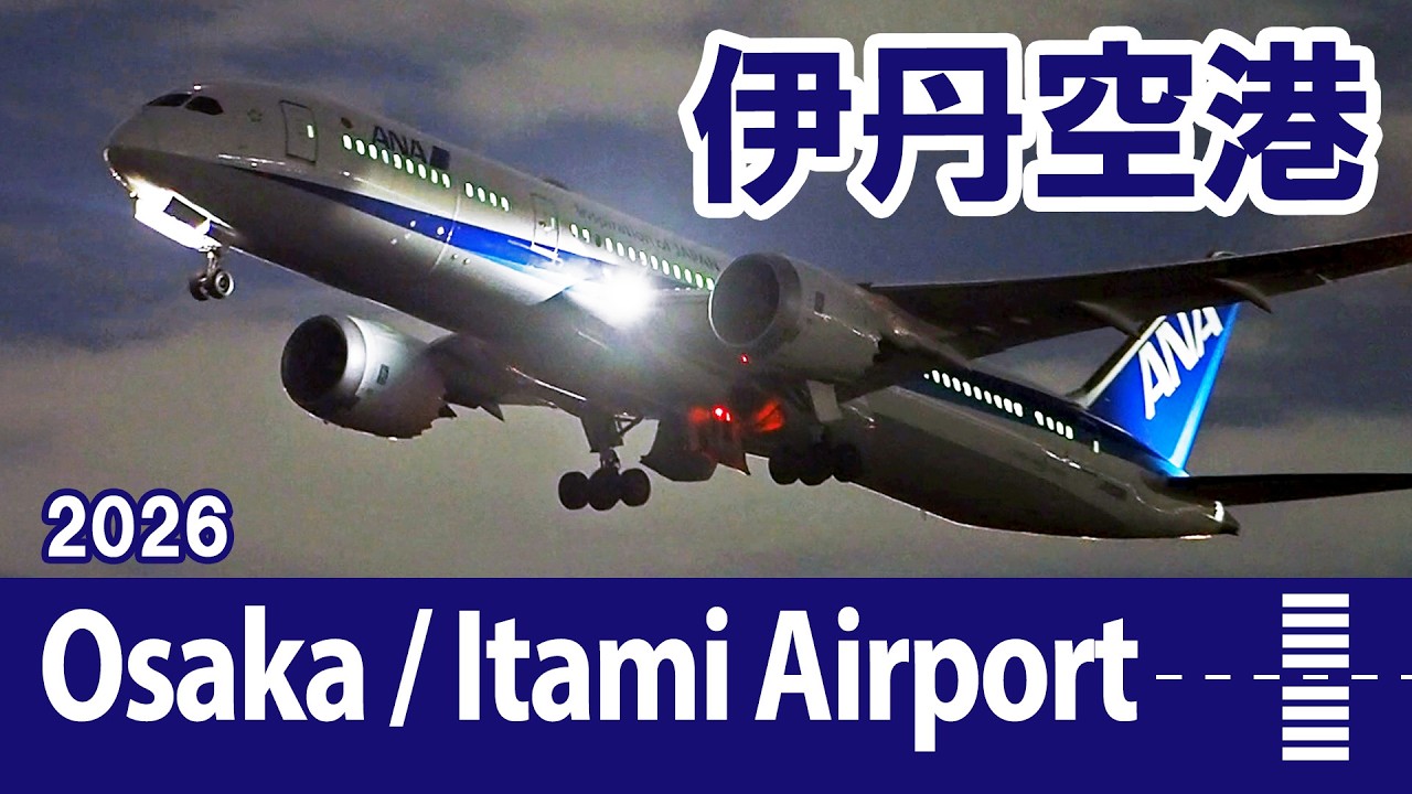 伊丹空港｜夜の千里川土手 ・ 光と轟音の空間（飛行機動画 2026）