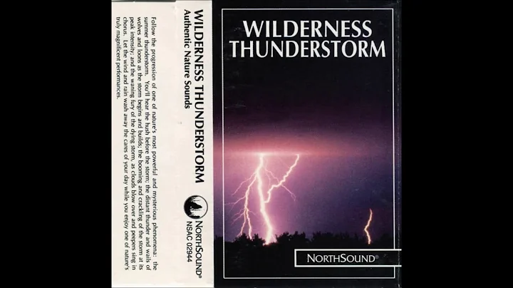 Robert W. Baldwin  Wilderness Thunderstorm (1992) ...