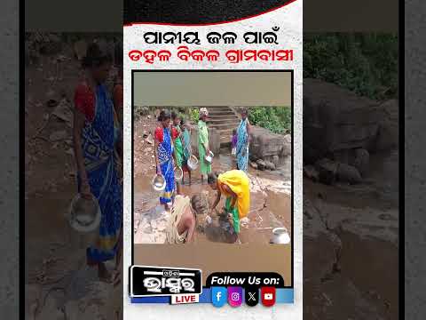 ପାଣି ପାଇଁ ଡହଳ ବିକଳ ଗ୍ରାମବାସୀ #odishanews #waterproblem