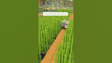 Automatic Sugar Cane Farm 🌾😱 #shorts