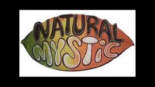 Momonon - Natural Mystic