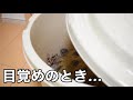 3ヶ月半ぶりにあの子と再会しました！！【冬眠終了】