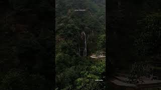|| Hidden Waterfall Of #darjeeling || #northbengal #shorts #offbeat #nature #waterfall #tourism