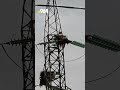 حاجی لەقلەقەکەی بەکرەجۆ ماڵەکەی بۆ باران ئامادە دەکات 