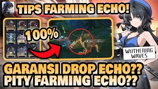 FARMING ECHO ADA PITYNYA??! Tips Farming Echo 100% Drop!! 🤔 | Wuthering Waves