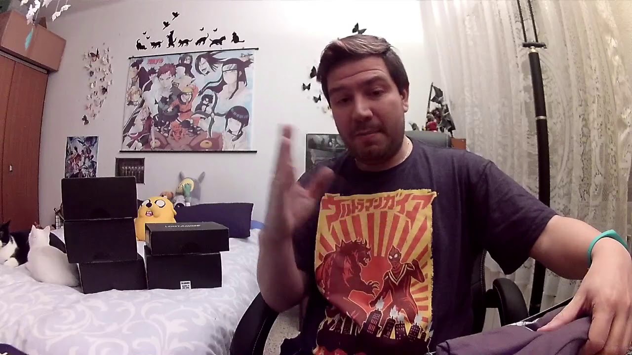 Unboxing anime loot crate Junio "Rise up"