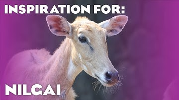 11 Real Nilgai Habitats! (Planet Zoo: Asia Animal Pack Inspiration)