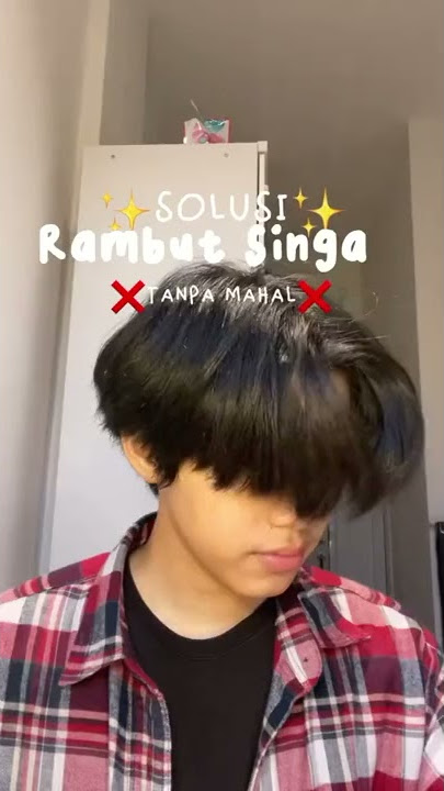 Cultusia Minyak Kemiri