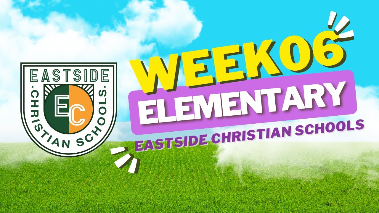 Week 6 Announcements 