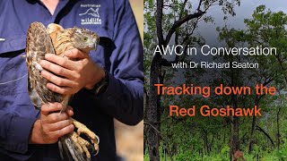 AWC in Conversation with Dr Richard Seaton: Tracking the Red Goshawk (S1E6) screenshot 2