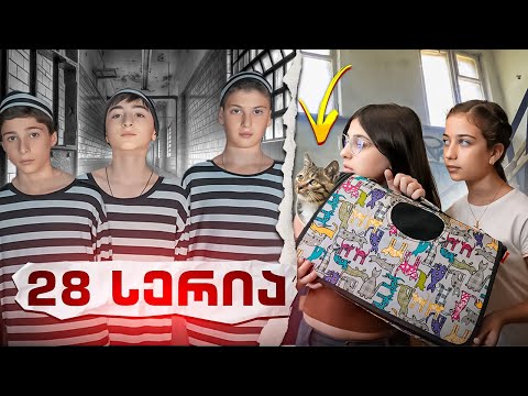 ემილია და მეგობრები (სერია 28) მოულოდნელი სტუმარი