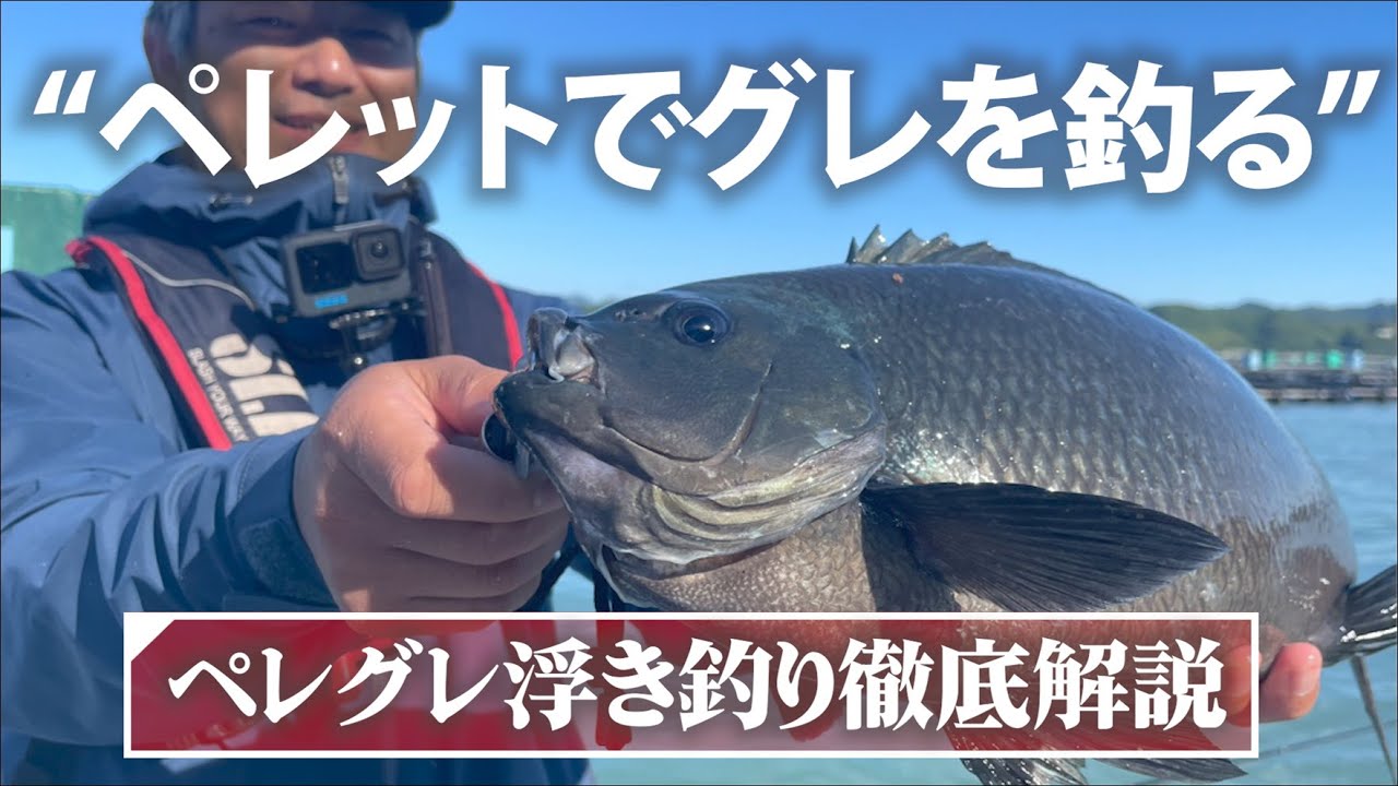 【串本カセ】ペレットでグレを釣る-ペレグレウキ釣り徹底解説-