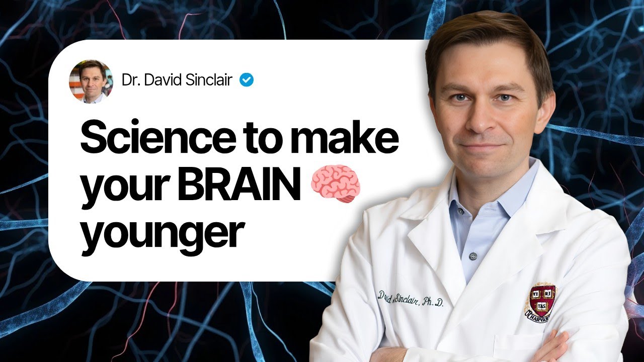 Keep Your Brain Young: Science-Backed Tips for Brain Health, Longevity, and Preventing Dementia