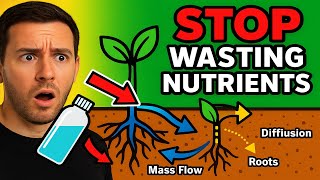 Stop Guessing How Roots Actually Take Up Nutrients Mass Flow Interception Diffus