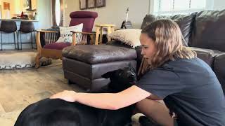 Bettie by Three Little Pitties Rescue 392 views 4 weeks ago 7 minutes, 34 seconds