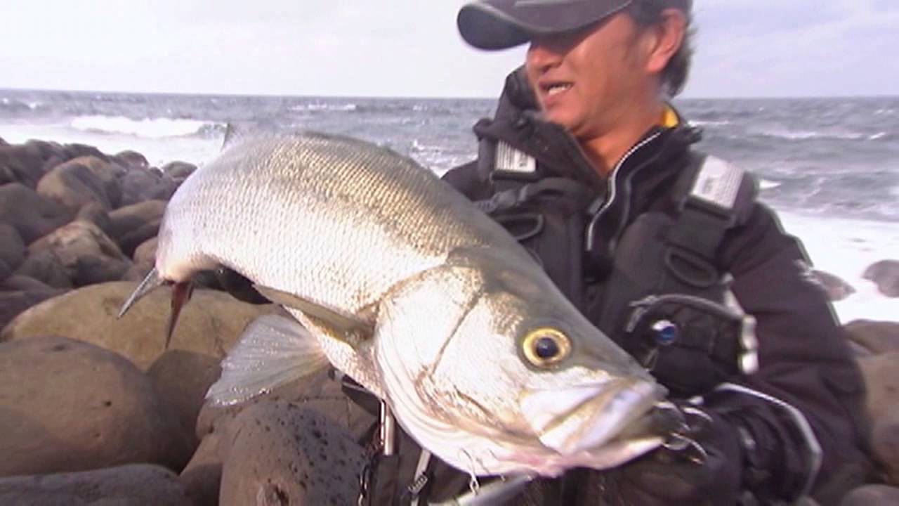いつでも釣り気分 050 サラシを狙え 神出鬼没の磯際ファイター ヒラスズキを追う Youtube