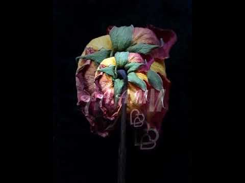 و خيالا مرافقني بدربي حزن حزين حالات تصميمات