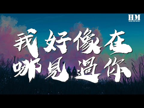 薛之謙 - 我好像在哪見過你『我好像在哪見過你』【動態歌詞Lyrics】